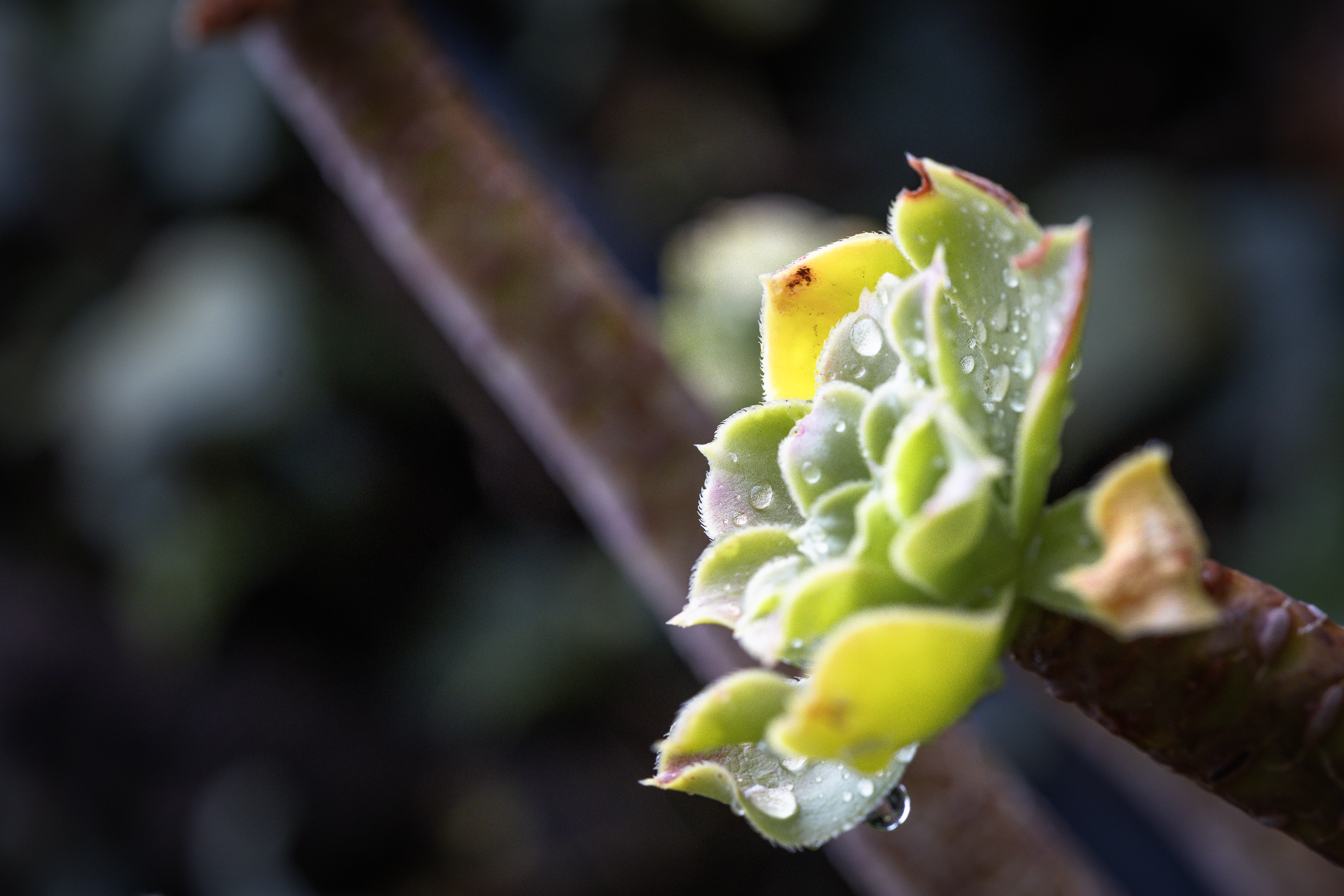 Otoño · Foto 04