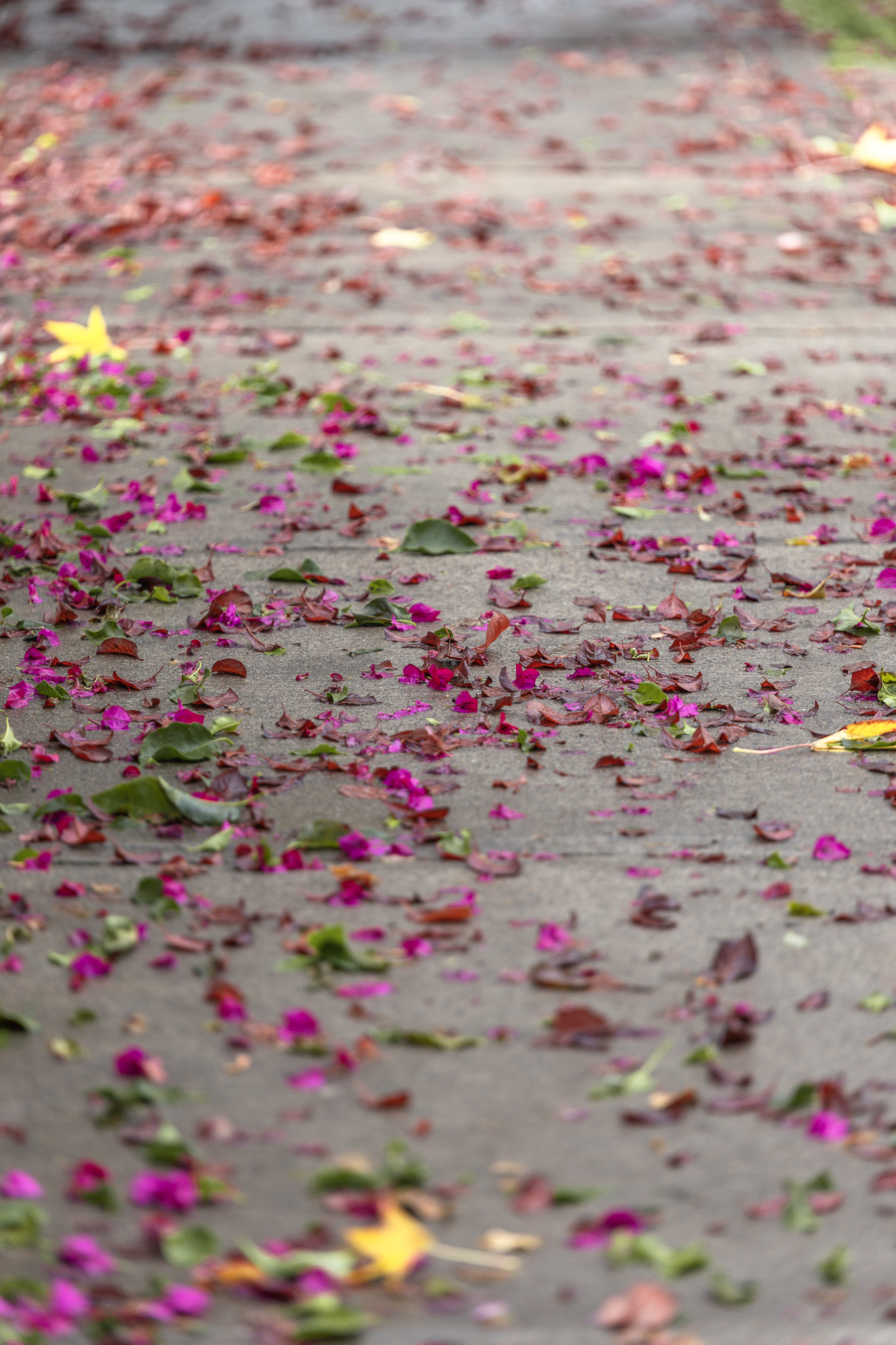 Otoño · Foto 28